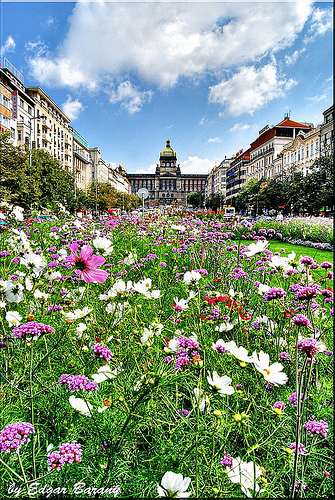 Wenceslas Square flickr image