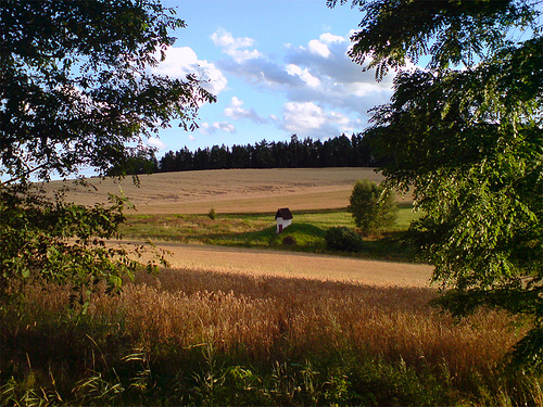 Czech august flickr image