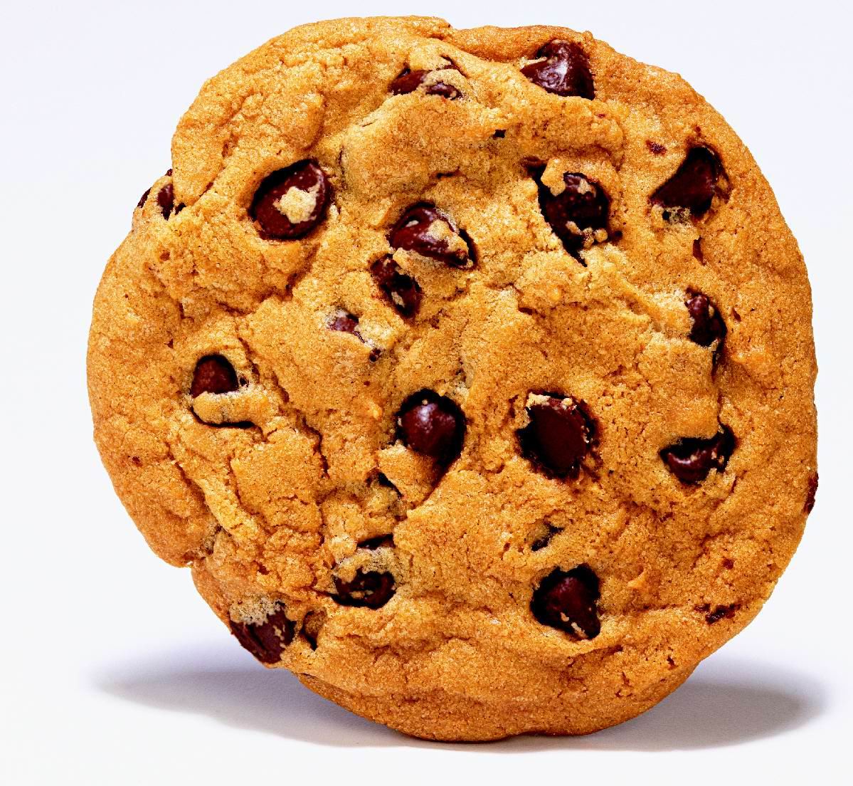 chocolate chip cookie google image