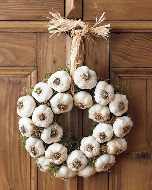 garlic google image