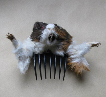 weird haircomb