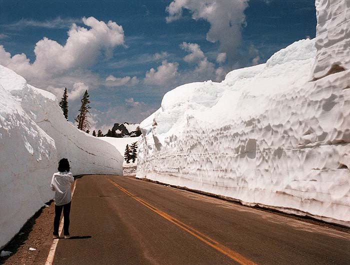 lot of snow google image