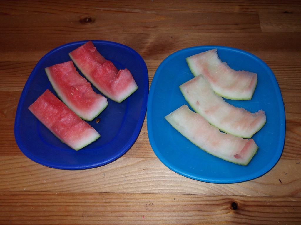 eaten watermelon